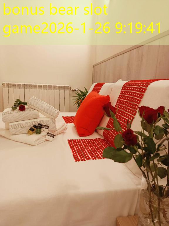 bonus bear slot game